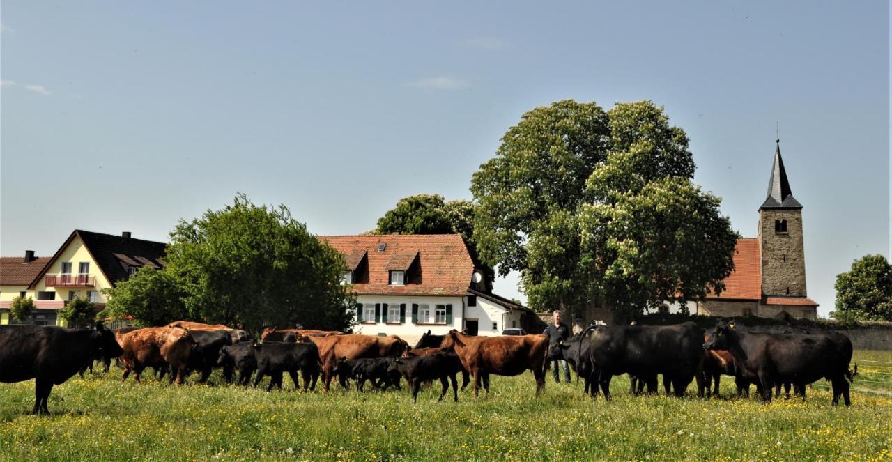 Schaefer'S Ferienhof Michaelsberg Gundelsheim  Esterno foto