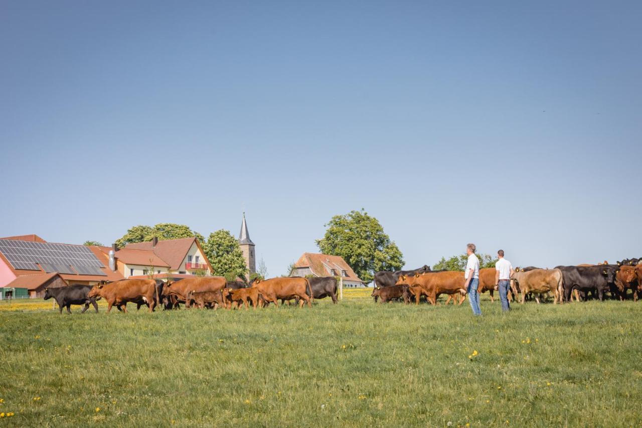 Schaefer'S Ferienhof Michaelsberg Gundelsheim  Esterno foto