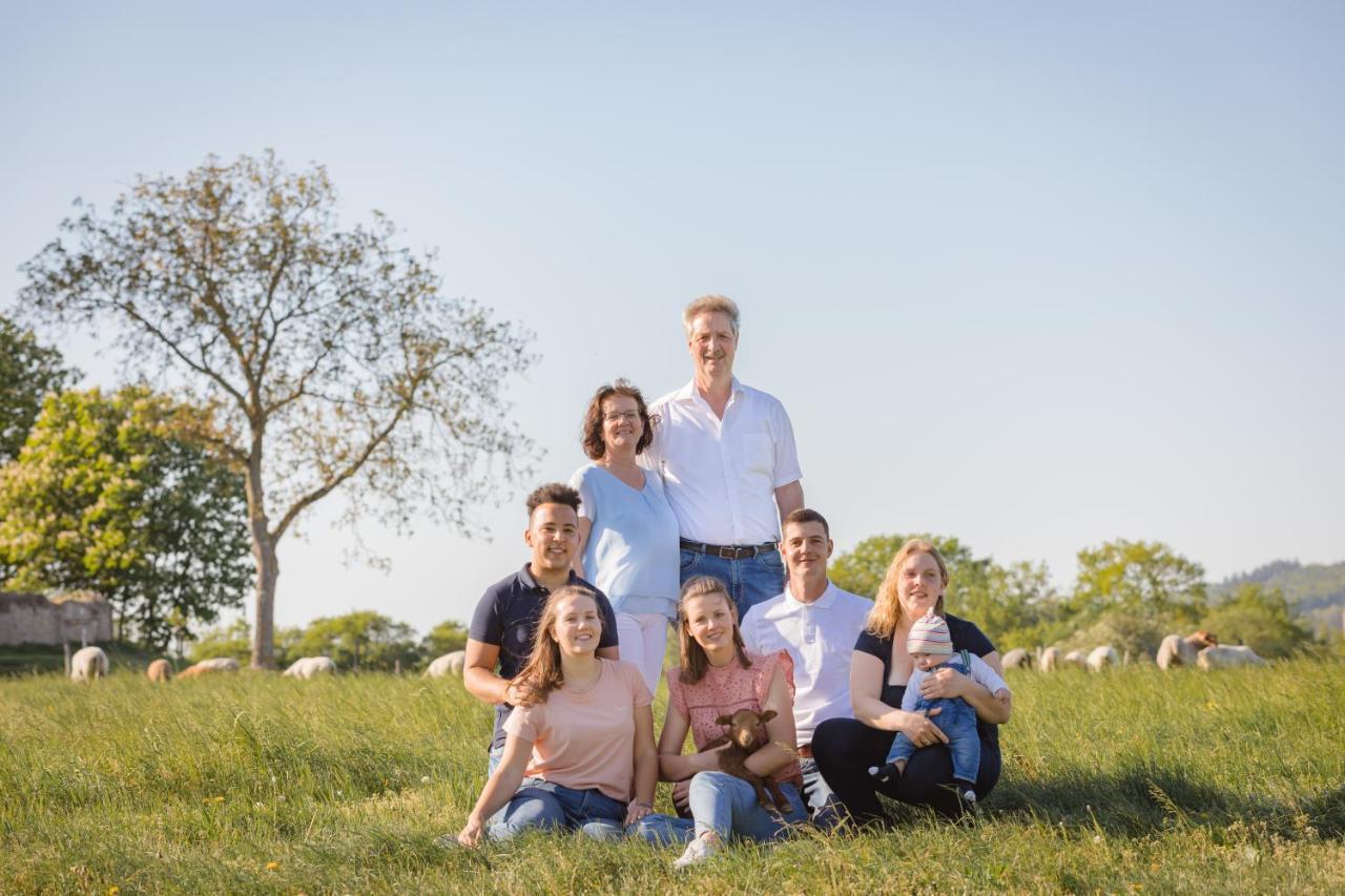 Schaefer'S Ferienhof Michaelsberg Gundelsheim  Esterno foto